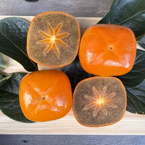 【樹の上で甘〜く】漆黒の黒ごま柿