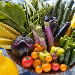 【月1回】アルコアーナ農園野菜セット定期便(農薬・化学肥料不使用)