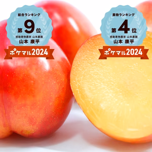 クール対応6月中下旬発送予約【濃厚食感】肉厚甘酸っぱ大石早生スモモ