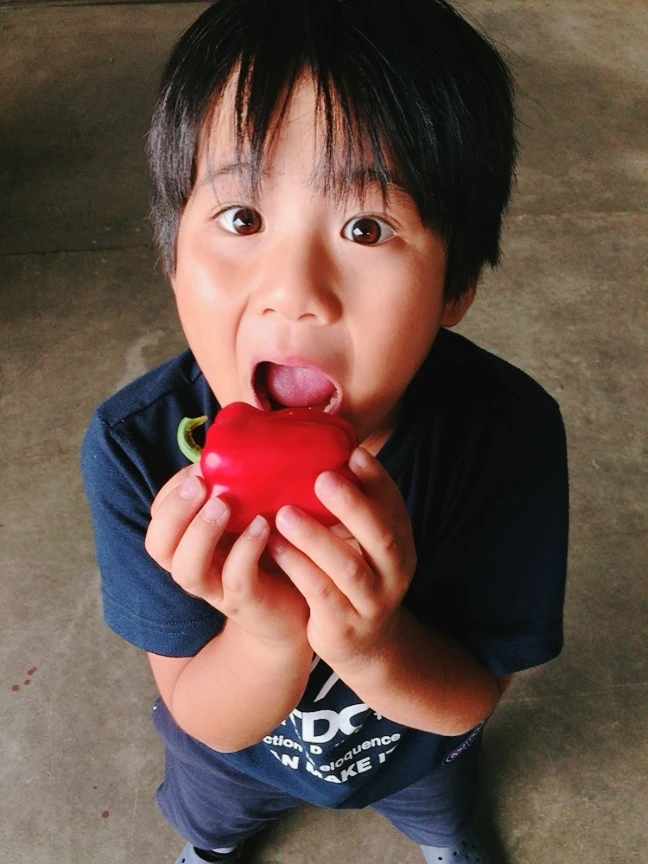和ぷりか【訳アリ品】1ｋｇ　丸かじり❕お茶肥料で濃い味♥