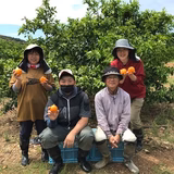 清水計宏 | （株）みかん山柑土里ファーム