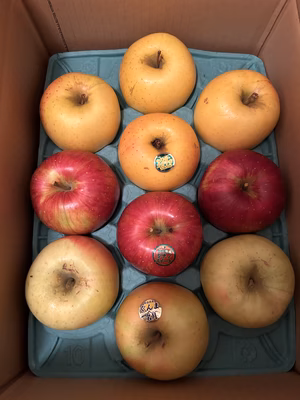 みんなの投稿の画像