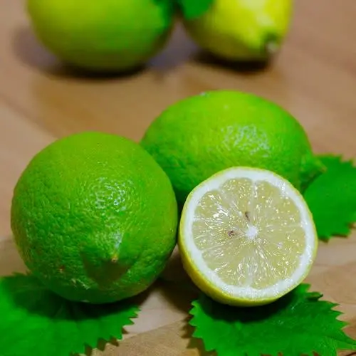 純国産グリーンレモン 1.8kg