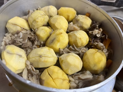 みんなの投稿の画像