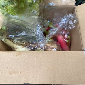 鈴木清友農園60サイズ無農薬野菜詰め合わせ