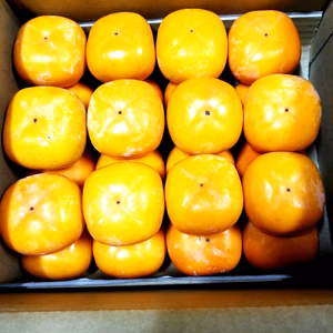 【送料無料】たねなし柿　(家庭用) 　5kg (25個～30個程度)