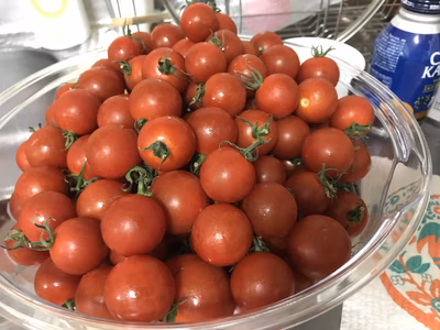 みんなの投稿の画像