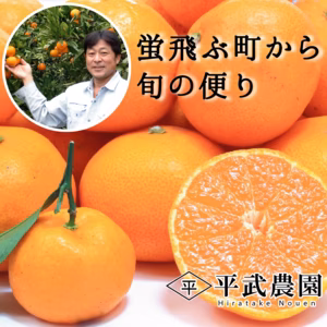 ~蛍飛ぶ町から旬の便り~　有田みかん　混合3Kg～　平武農園
