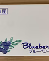 【のし対応可】採れたて完熟ブルーベリー（大粒）