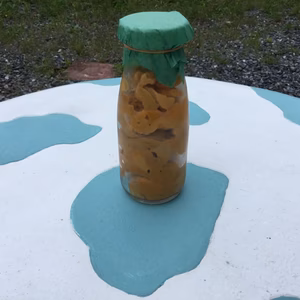 早いもの勝ち❗️1ビン限定本日限り　生ウニ