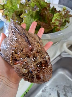 みんなの投稿の画像