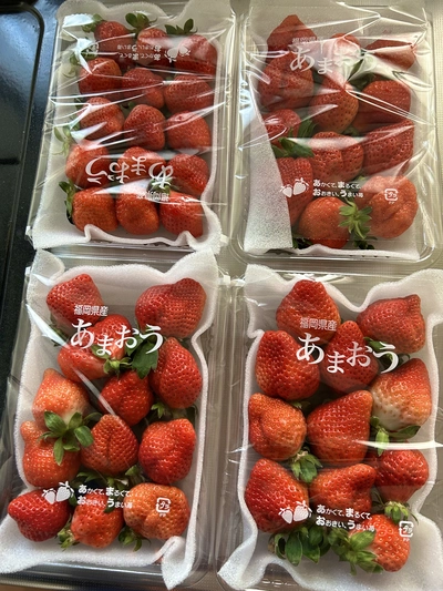 福岡ブランドあまおう【訳あり】冷凍いちご800g〜｜果物の商品詳細