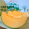 甘さ保証★極甘中富良野メロン1玉(7/14頃～)毎年大好評■お中元やギフト利用可