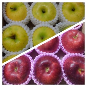 毎月１回お届け✨　旬のりんご 小玉家庭用（常温便）