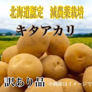 《更に5%増量！》減農薬栽培 じゃがいも【キタアカリ】訳あり品