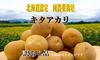 《更に5%増量！》減農薬栽培 じゃがいも【キタアカリ】訳あり品