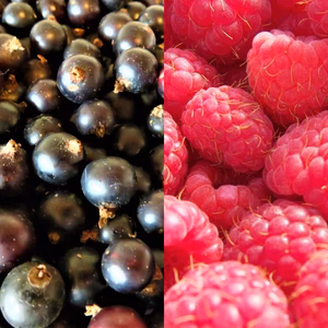 北海道十勝産ラズベリー＆カシス（冷凍）