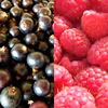 北海道十勝産ラズベリー＆カシス（冷凍）