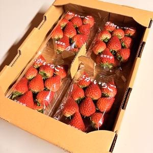 てぃあらふぁーむが届ける「いちごさん」1キロ4パック入り