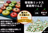青森りんご蜜入り 家庭用完熟葉とらずサンふじ、王林ミックス約３kg１２個入