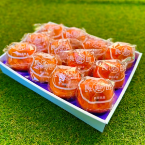 12/1から順次出荷【化粧箱入り】長生き次郎柿『長寿郎』12玉入り　ギフト