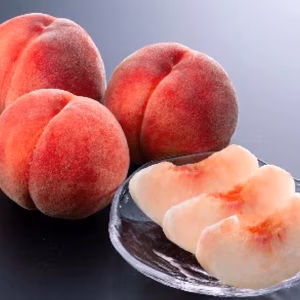 【2026年予約】初夏の早生桃 朝採り収穫したその日に発送します✨品種おまかせ