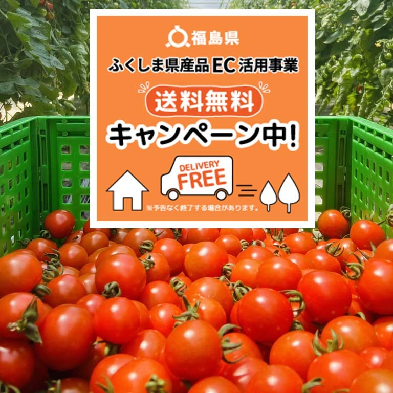 代引不可 訳ありミニトマト 3kg詰め合わせ 送料込み Www Anavara Com