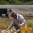 笠原伸也