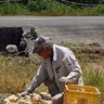 笠原伸也