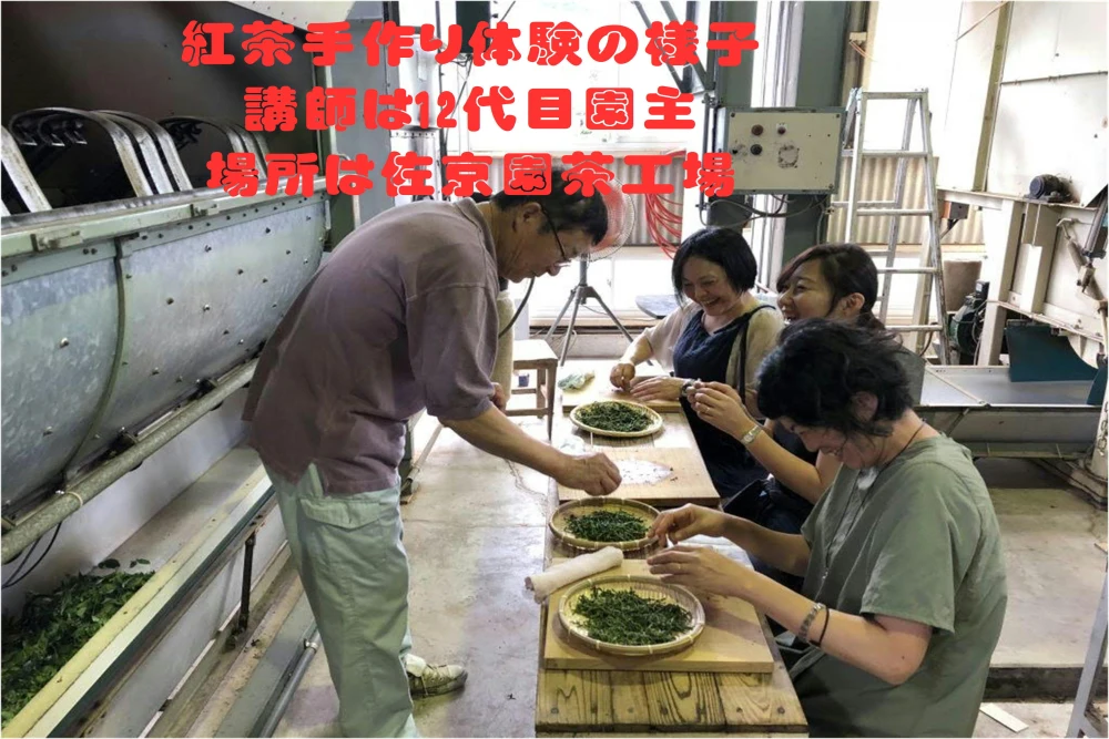 全国一律送料　玄米茶　100ｇ【抹茶不使用&静岡県産玄米】