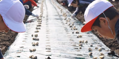 小学校の植え付け体験。一生懸命手入れして、いいものに仕上げたい。