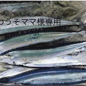 かわうそママ様専用