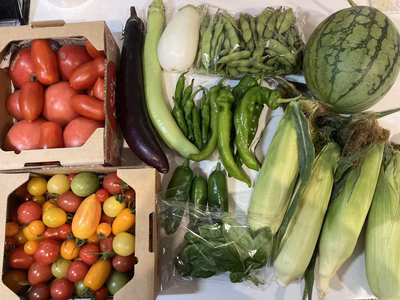 みんなの投稿の画像