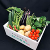 7月のオーガニック野菜セット