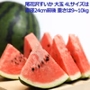 甘～いおいし～い尾花沢すいか 大玉 4L サイズ(羅王ザ・スウィート)山形県産 
