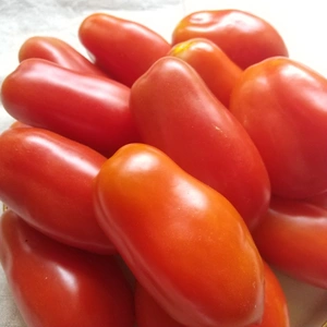 トマトソース作りに◎【有機JAS認証】サンマルツァーノ トマト 1kg～