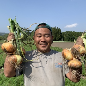 宮崎県綾町産！シャキシャキたまねぎ【農薬 化学肥料不使用】