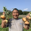 宮崎県綾町産！新たまねぎ【農薬 化学肥料不使用】