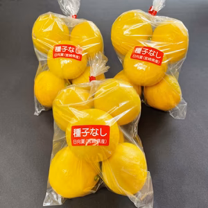 【数量限定】人気No.1 最上級 赤秀品 極上 プリンセス日向夏(種無し) 3袋