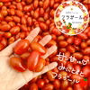 【ギフトにも】オイシイをちょこっとずつ。トマト全種類セット
