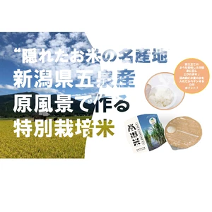 新春ﾌｪｱ！特別値引！特別栽培米のﾊﾟｯｸごはん 新潟県五泉産ｺｼﾋｶﾘ100%
