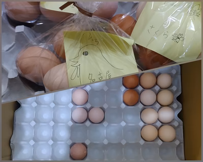 みんなの投稿の画像