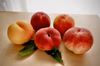 Qちゃんが特に好きな桃！！今回の桃は、、、2㎏