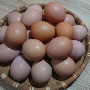 卵かけご飯に最高！平飼い 新鮮たまご 元気玉 小玉【20個】