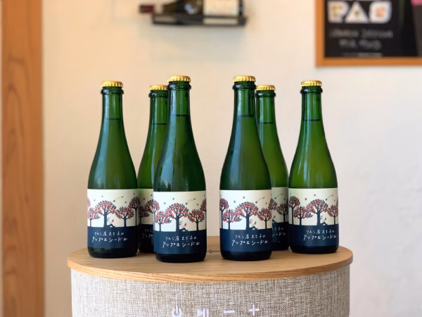 シードルハーフ６本セット　フレッシュな酸味と果実味！「乾杯シードル」