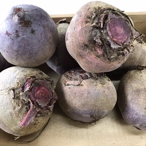 ビーツ　【宮城県産】