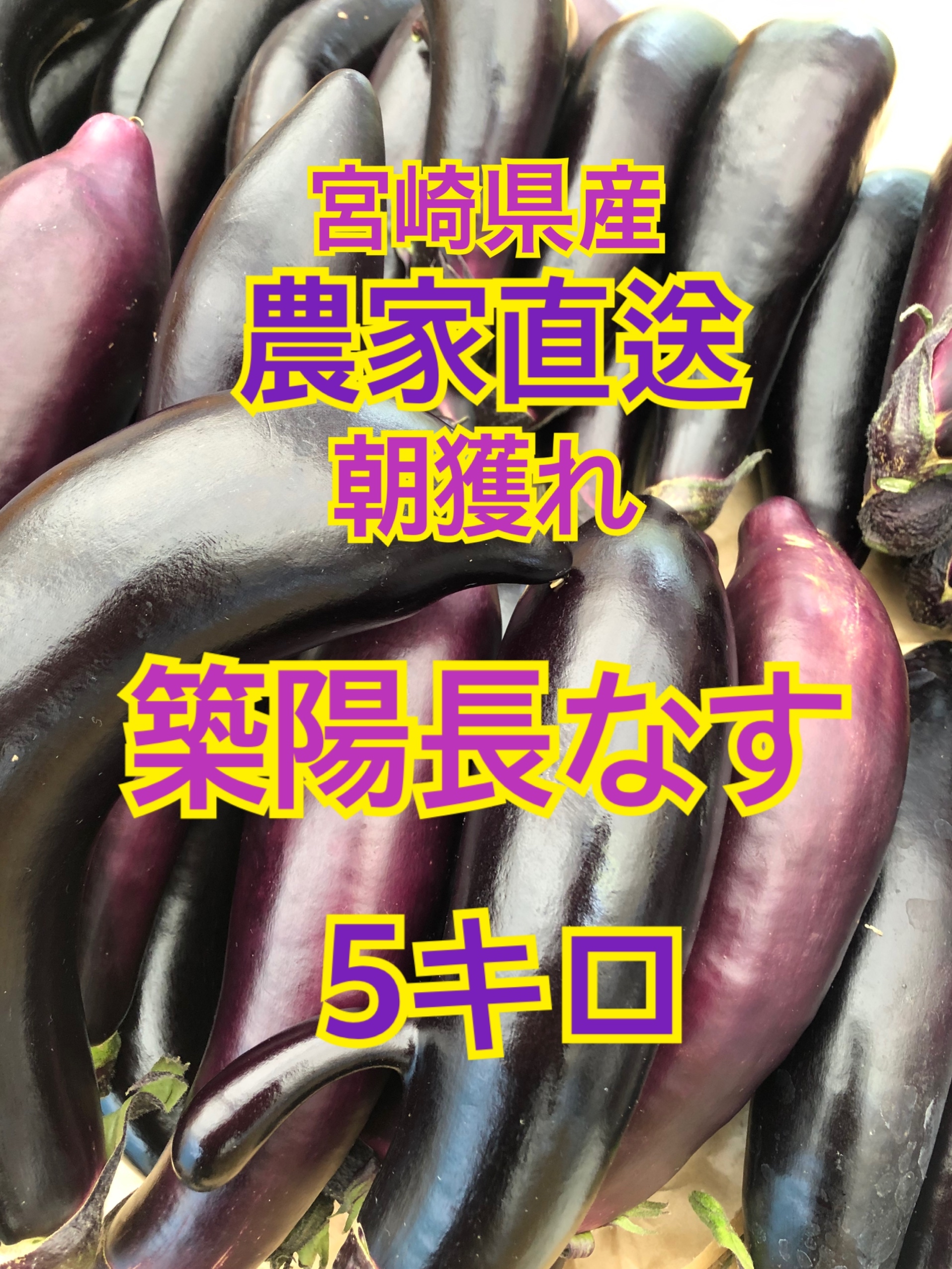 野菜 なす 5キロ 宮崎県産｜なすの商品詳細｜ポケットマルシェ｜産地直送で旬の食材が生産者(農家・漁師)から届く