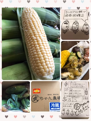 みんなの投稿の画像