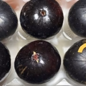 【6周年福袋】「ビオレソリエス」5個  プラス1