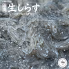 お刺身用★生しらす(冷凍)期間限定発売